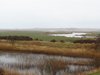 Sydvestjylland_2012 (23)