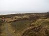Sydvestjylland_2012 (56)