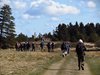 Sydvestjylland_2012 (45)