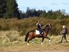 Sydvestjylland_2012 (46)