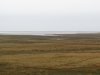 Sydvestjylland_2012 (20)