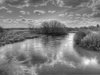 Sydvestjylland_2012 (49)