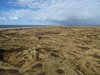 Sydvestjylland_2012 (37)