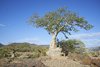 Namibia_2013 (72)