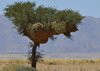 Namibia_2013 (139)