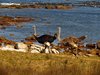 Namibia_2013 (232)