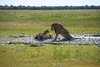 Namibia_2013 (42)