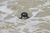 Namibia_2013 (219)