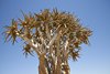 Namibia_2013 (135)