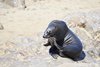 Namibia_2013 (121)
