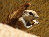 Namibia_2013 (158)