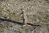 Namibia_2013 (38)