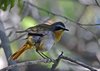 Namibia_2013 (204)