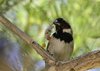 Namibia_2013 (192)