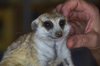 Namibia_2013 (106)