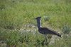 Namibia_2013 (48)