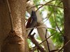Namibia_2013 (92)