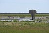 Namibia_2013 (55)