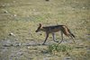 Namibia_2013 (39)