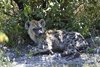 Namibia_2013 (20)