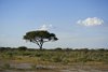 Namibia_2013 (62)
