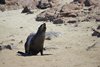 Namibia_2013 (117)