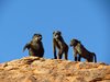 Namibia_2013 (102)