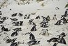 Namibia_2013 (210)