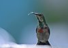 Namibia_2013 (199)