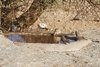 Namibia_2013 (172)