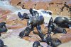 Namibia_2013 (119)