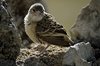 Namibia_2013 (25)
