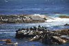 Namibia_2013 (222)