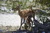 Namibia_2013 (19)