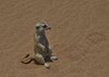 Namibia_2013 (109)
