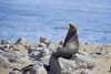 Namibia_2013 (114)