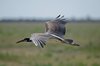 Namibia_2013 (51)