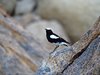 Namibia_2013 (101)