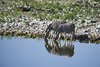 Namibia_2013 (37)