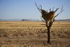 Namibia_2013 (162)