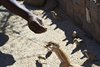 Namibia_2013 (143)