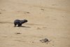 Namibia_2013 (123)