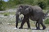 Namibia_2013 (16)