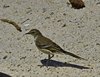 Namibia_2013 (212)