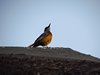 Namibia_2013 (91)
