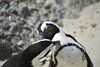 Namibia_2013 (211)