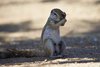 Namibia_2013 (142)