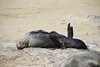 Namibia_2013 (124)