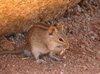 Namibia_2013 (159)