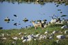 Namibia_2013 (34)